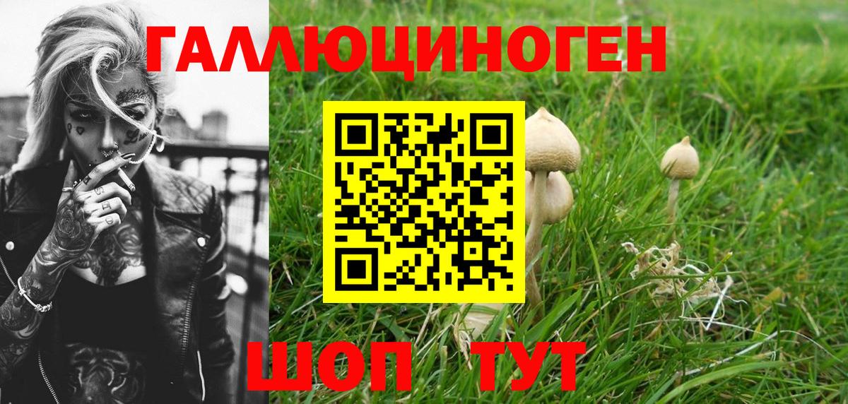 Псилоцибиновые грибы Magic Shrooms Кириши